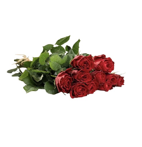 🌹 Classic Red Romance Roses