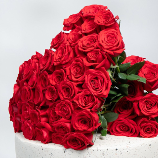 Scarlet Dome Wrap - Image 2