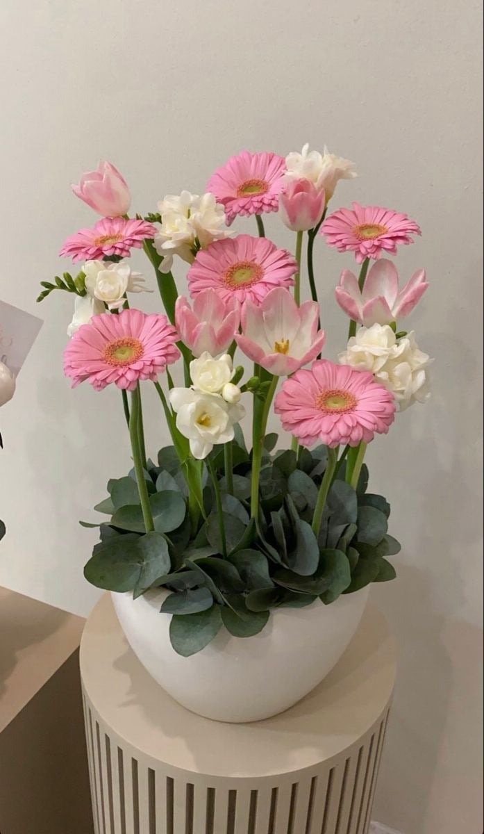 🌸 Blush Harmony Bloom