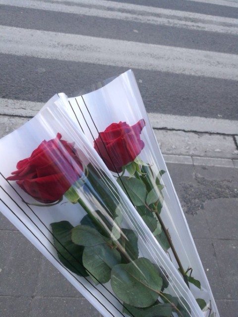 🌹 Minimalist & Poetic