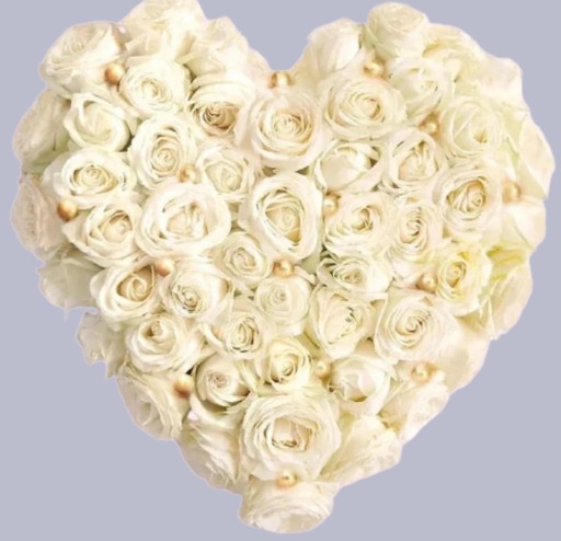 🤍 Pearl Heart Roses