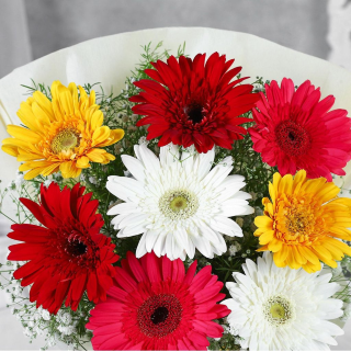 Mixed Gerbera Delight - Image 2