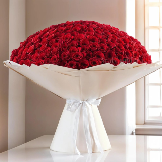 Endless Love 500 Red Rose Bouquet