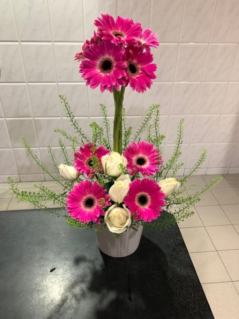 💗 Pink Radiance Delight