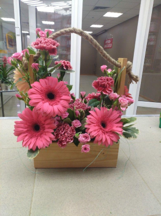 Pink Petal Elegance 💐