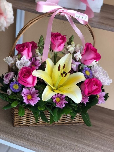 🌷 Pastel Garden Whispers