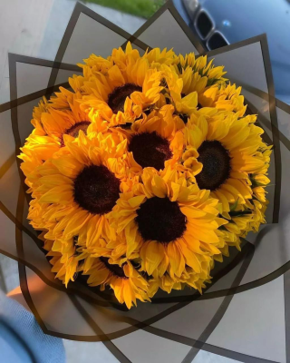 Adiant Sunflower Ensemble