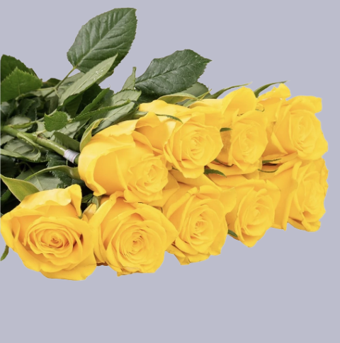 🌼 Sunshine Yellow Roses