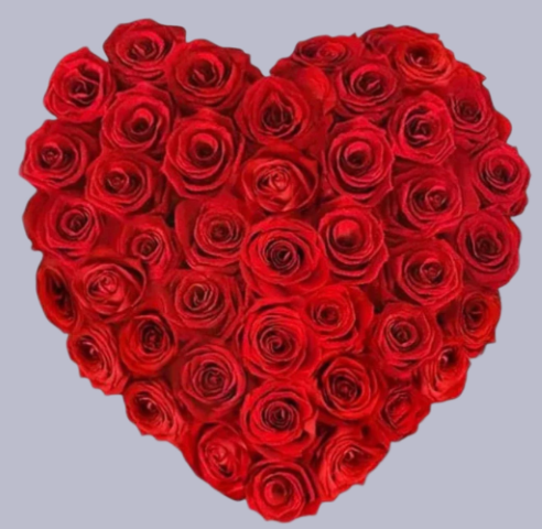 ❤️ Crimson Heart Roses