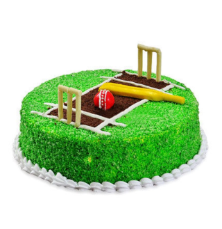 Cricket Theme Cake