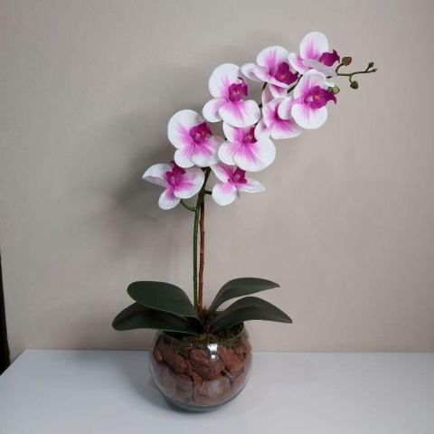 Orchid Grace Arrangement
