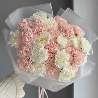Cotton Candy Carnations