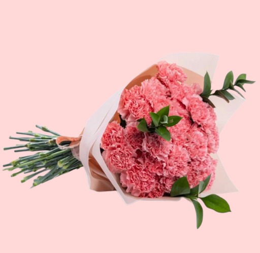 💗 Carnation Blush Bouquet