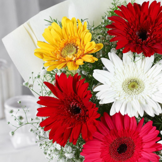 Mixed Gerbera Delight - Image 3