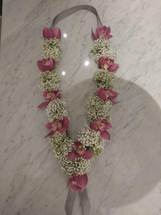 Blush Orchid & Baby’s Breath Garland 🎓