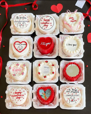 Valentine’s Day Bento Cakes ❤️
