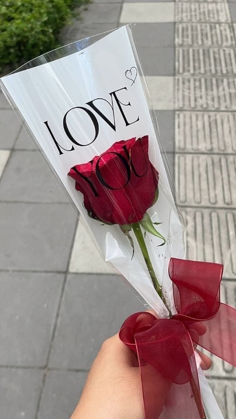 🌹 Romantic Single Rose – Love You Edition